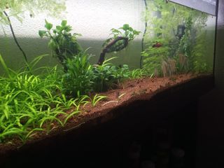 Acuario 240L con mueble