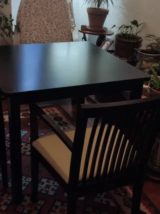 Mesa comedor y 4 sillas tapizadas