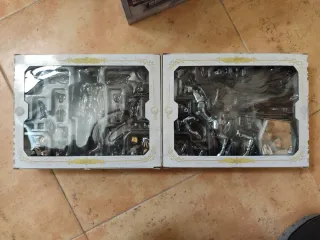 Seiya de Pegaso Myth Cloth Divina