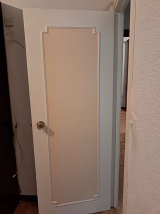 Puerta interior blanca con panel