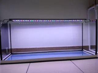 Acuario ICA 130L