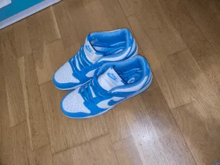 Nike Dunk SB Azul y Blanco