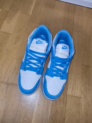 Nike Dunk SB Azul y Blanco