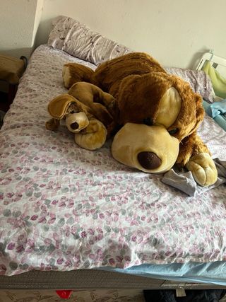 Peluche perro grande marrón