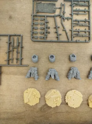 Grey Knights Paladin Squad + 5 Cuerpos de regalo