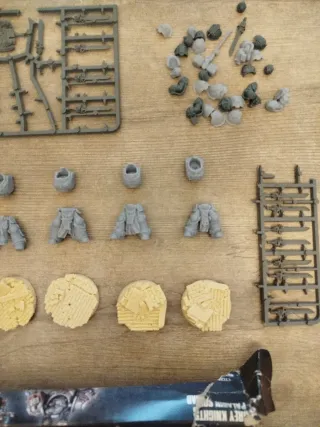 Grey Knights Paladin Squad + 5 Cuerpos de regalo