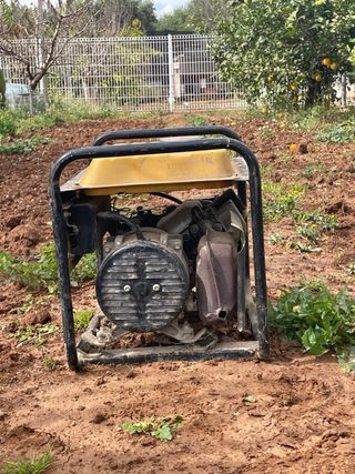 Generador Eléctrico Schwarzbach SSG 1000