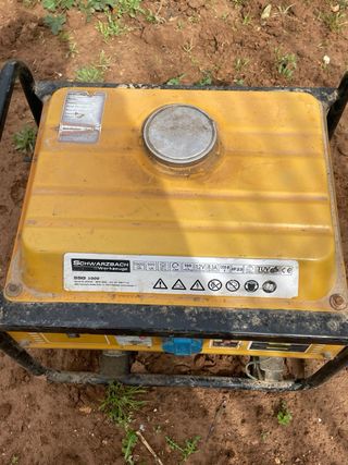 Generador Eléctrico Schwarzbach SSG 1000