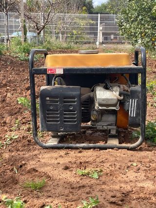 Generador Eléctrico Schwarzbach SSG 1000