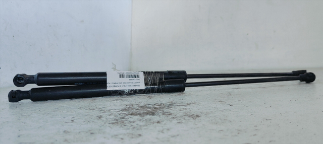 AMORTIGUADORES MALETERO / PORTON PEUGEOT 208 (P2)