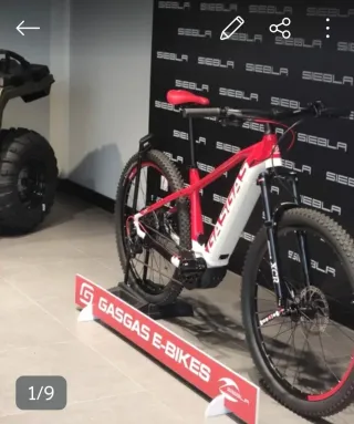 Bicicleta Eléctrica Gas Gas Cross Country 7.0