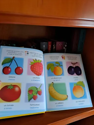 Diccionario por imágenes Español-Inglés