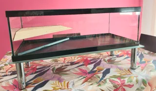 Acuario para tortugas