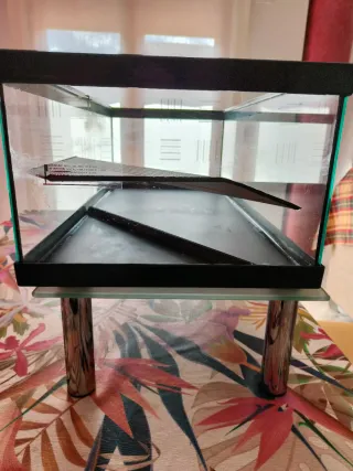 Acuario para tortugas