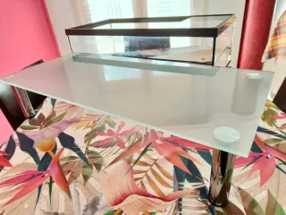 Acuario para tortugas