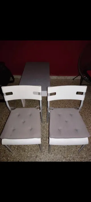 Sillas (2) Metal y Plástico