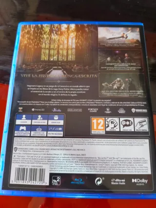 Hogwarts Legacy PS4