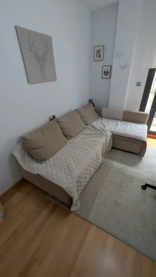 Sofá Cama IKEA FRIHETEN Chaise Longue Arcón