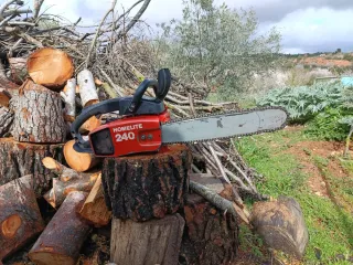 Motosierra Homelite 240