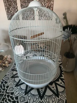 Jaula para pájaros blanca