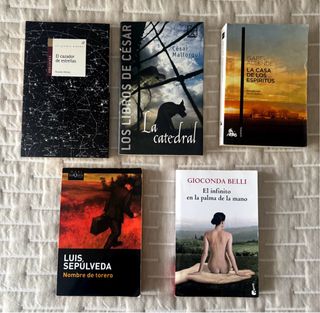 Lote de 5 libros en Castellano