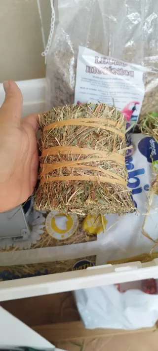 Jaula y accesorios para conejos/roedores