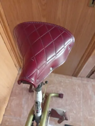 Bici Estática Torrot Gymnastica