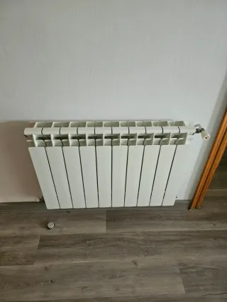 Caldera y radiadores