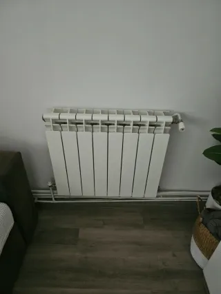 Caldera y radiadores