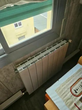 Caldera y radiadores