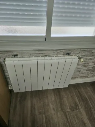 Caldera y radiadores