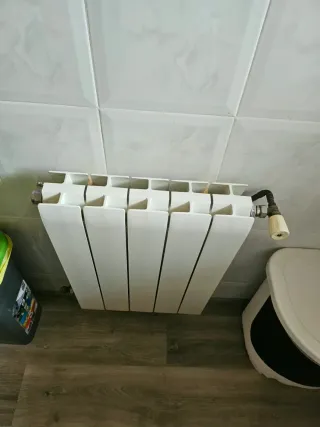 Caldera y radiadores