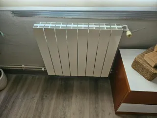 Caldera y radiadores