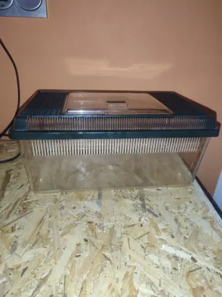 Terrario seminuevo verde y transparente