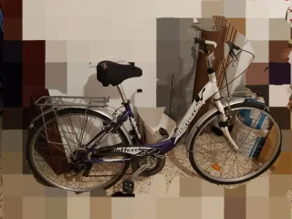 Bicicleta Bottecchia Mujer Clásica