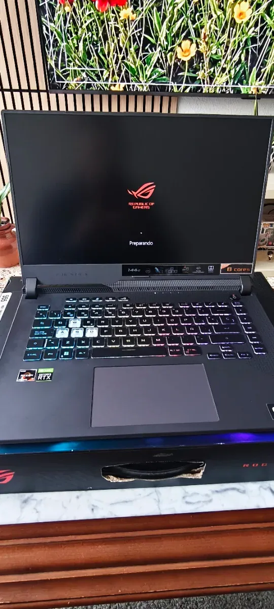 Portátil Asus ROG Strix G513