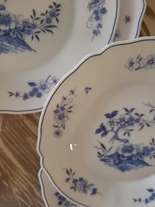 6 Platos Llanos Arcopal Kalina Nuevos