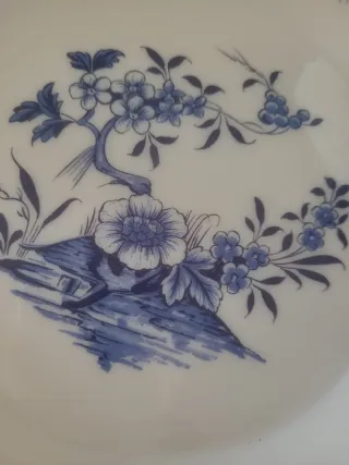 6 Platos Llanos Arcopal Kalina Nuevos