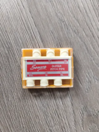 Guitarra Sonora con funda y afinador de tubo.