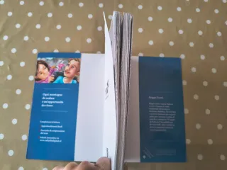 Forti Beppe - Il Sogno Di Federico (1 BOOKS)