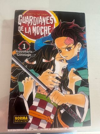 GUARDIANES DE LA NOCHE 01
