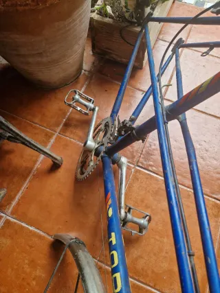Bicicleta Torrot Paseo Azul