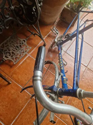 Bicicleta Torrot Paseo Azul