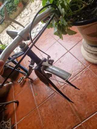 Bicicleta Torrot Paseo Azul