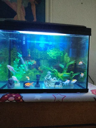 Acuario 64L
