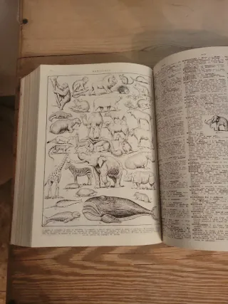 Diccionario Hispano Manual Antiguo