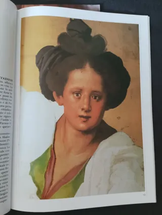 Arte dossier Rafaello in Vaticano y Pontormo