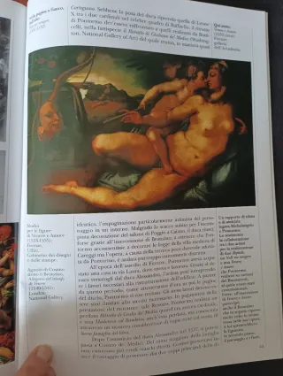 Arte dossier Rafaello in Vaticano y Pontormo