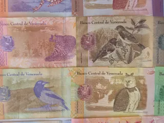 Lote Billetes de animales nuevos.