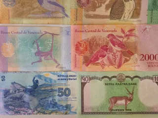 Lote Billetes de animales nuevos.